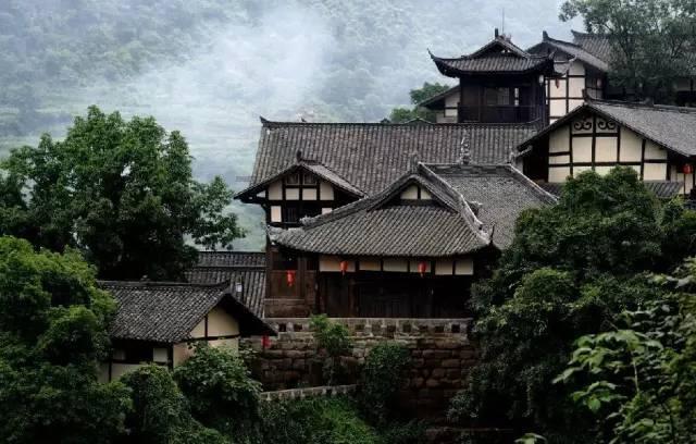 春雨直播app